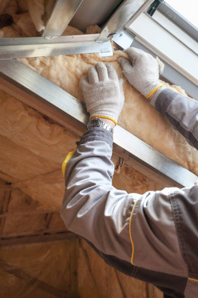 Best Crawl Space Insulation  in Twin Lakes, VA